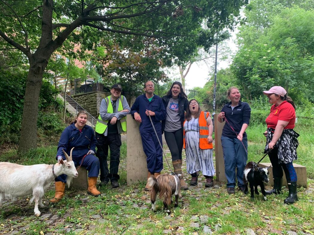 Volunteers and participants from our Placement Programme with some goats