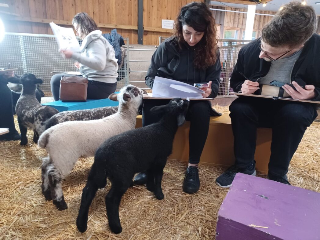 Some people sitting down with some lambs